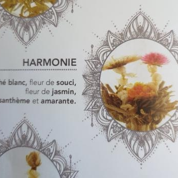 harmonie