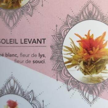 fleurs de thé 
